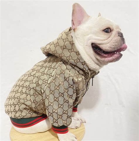 gucci i'm a dog|gucci dog outfit.